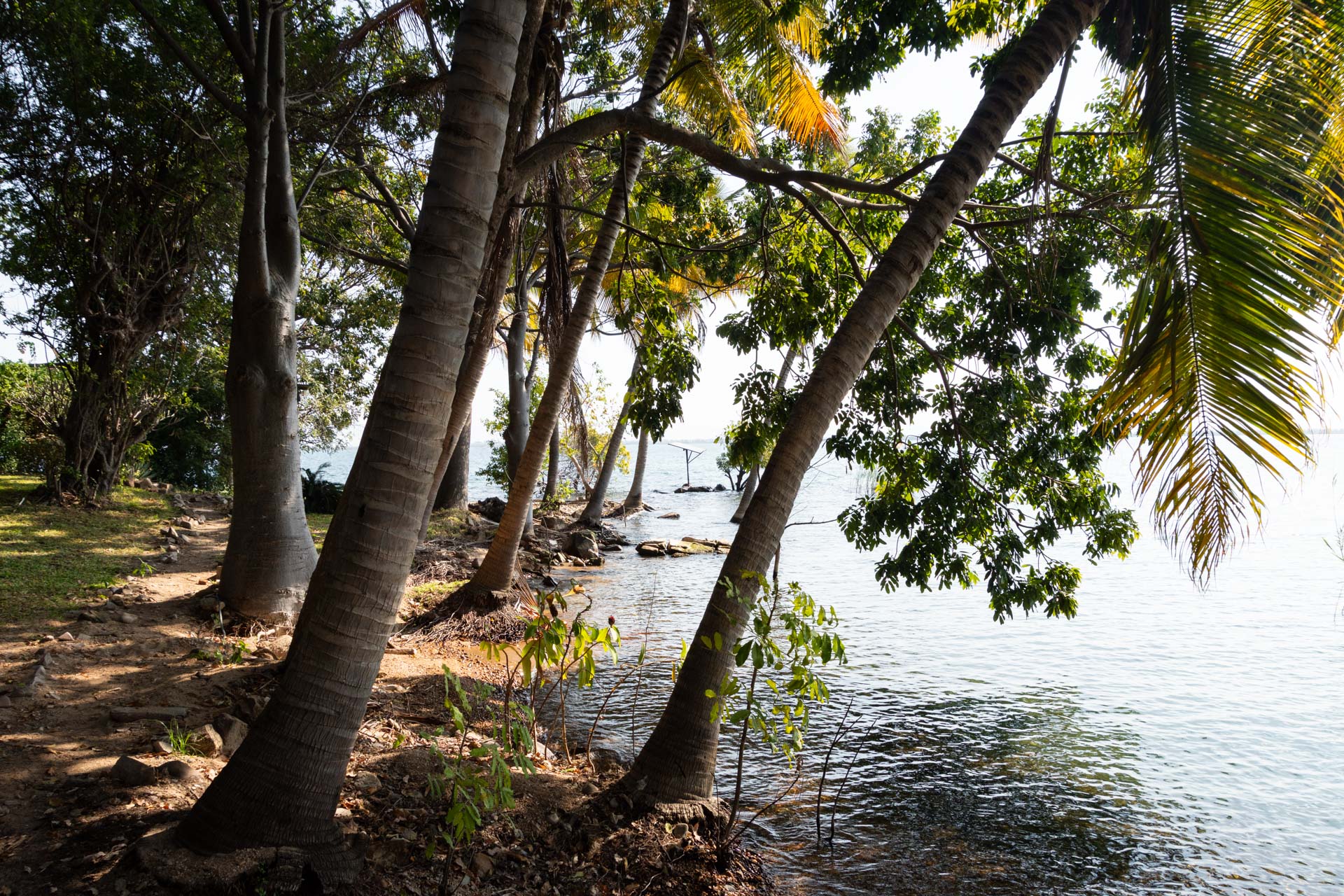 Nankoma-Island-Malawisee-Globetrotter-Select-5