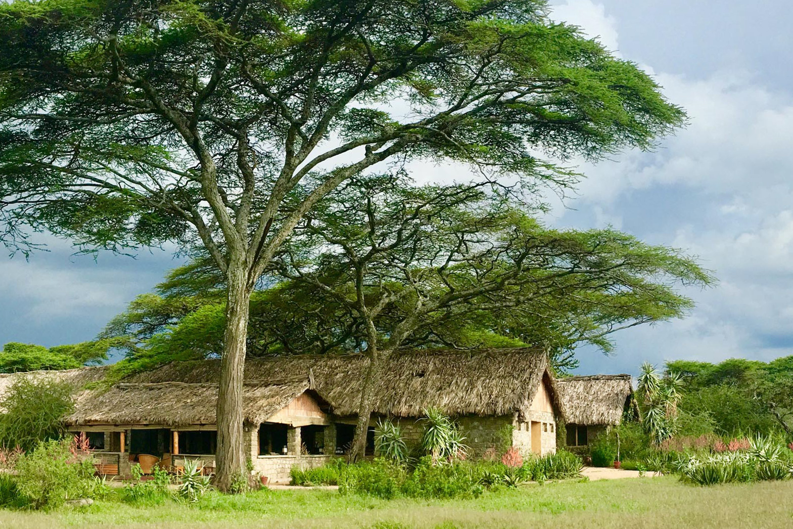 Ndutu-Safari-Lodge-19