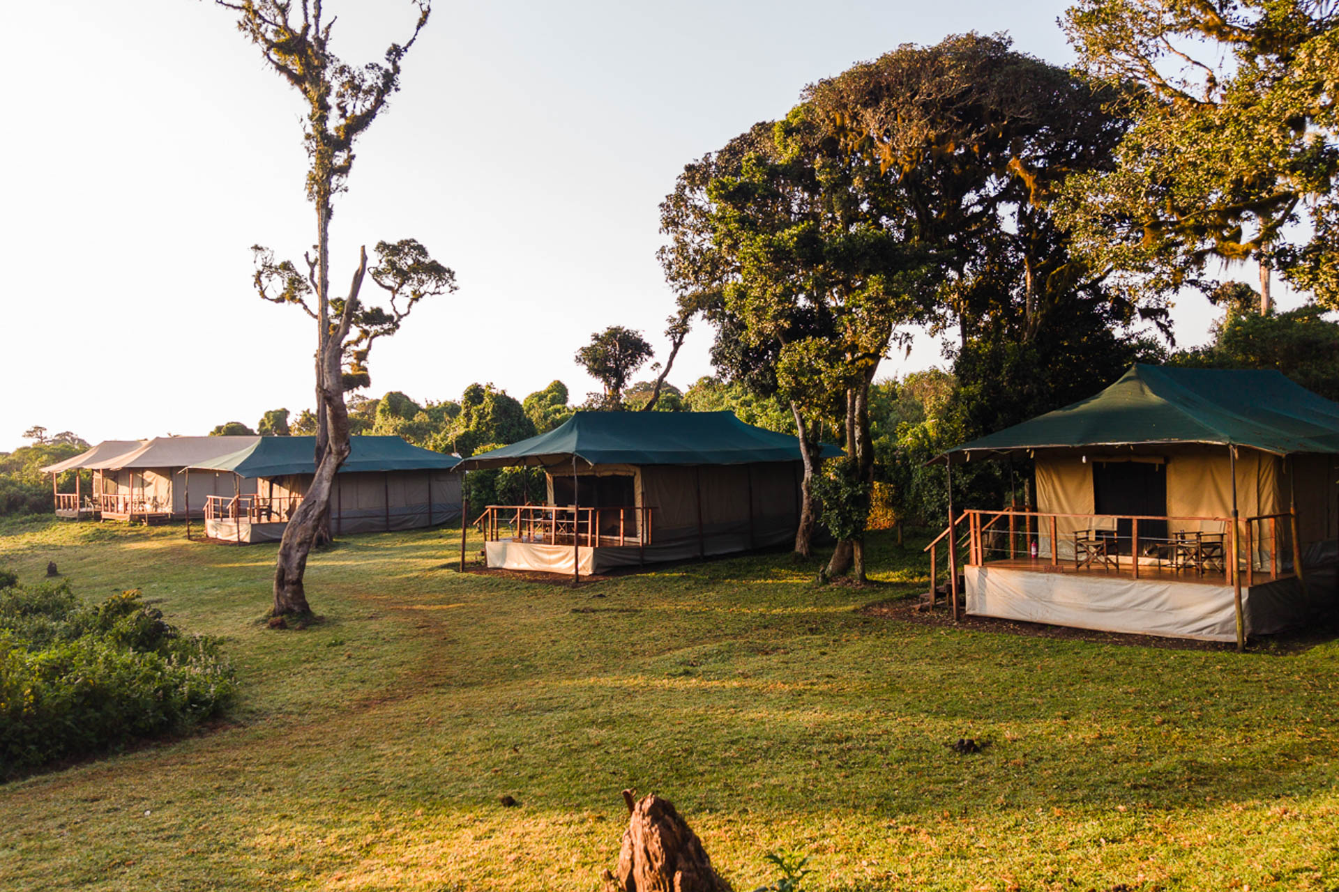 Ngorongoro Angata Camp