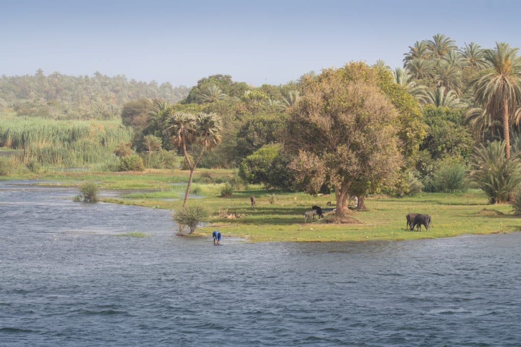 Bauer am grünen Nilufer, Ägypten Reisen, Gobetrotter Select