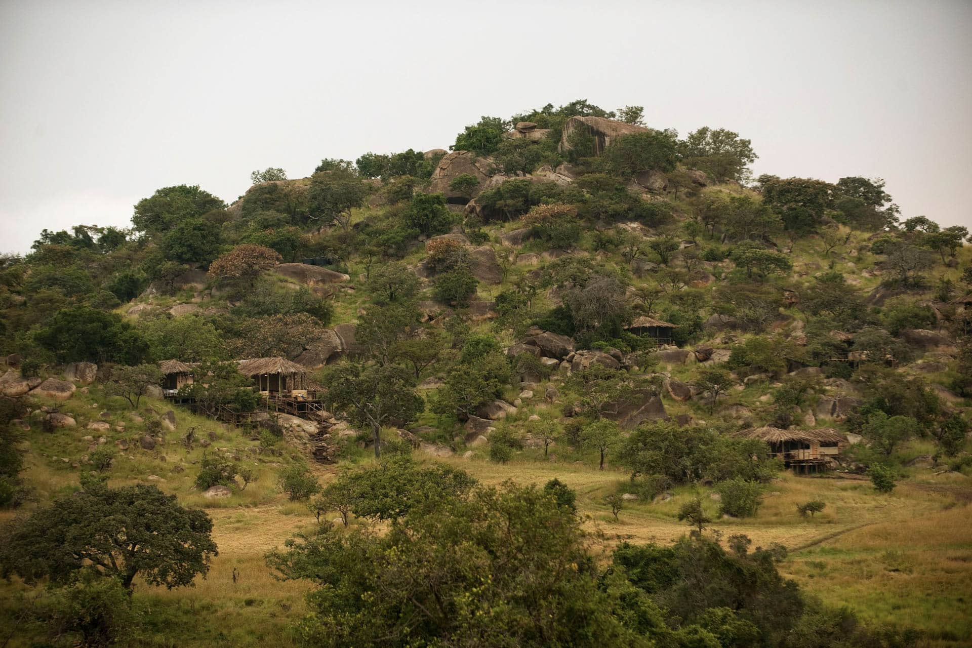 Nomad-Lamai-Serengeti-Camp-23