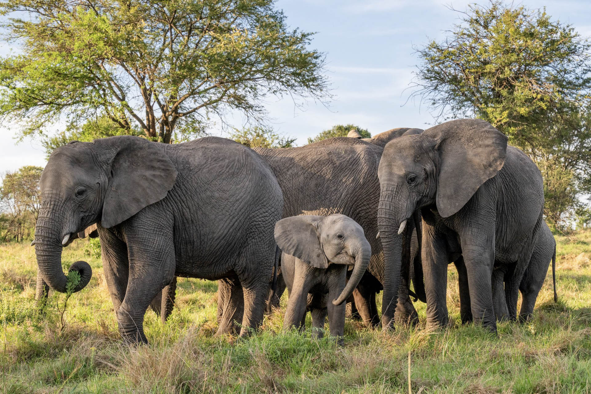 Nomad-Lamai-Serengeti-Camp-28