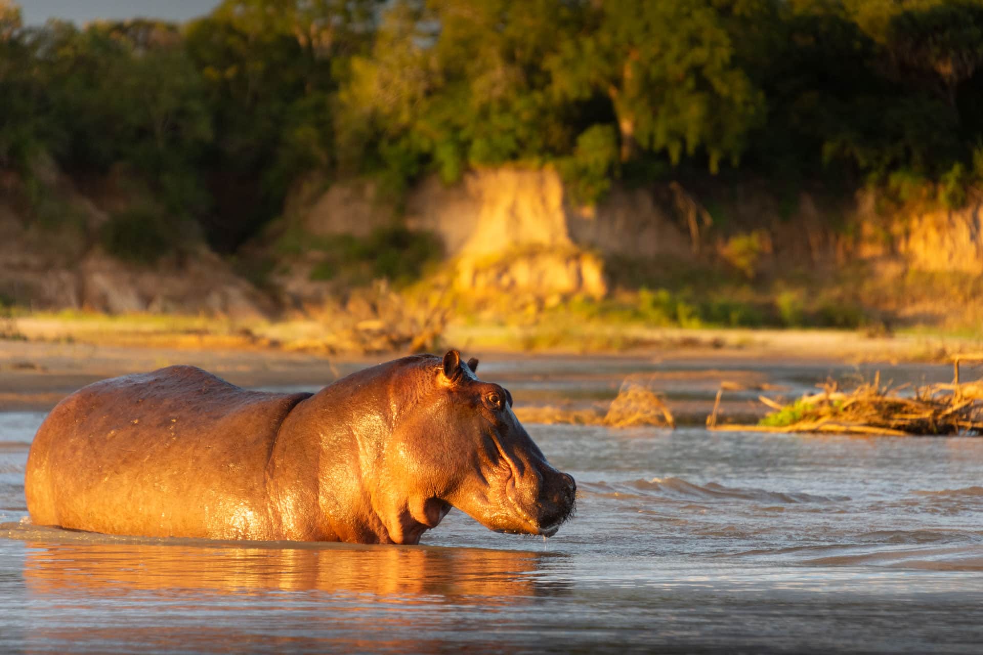 Nyerere-Nationalpark-Tansania-Globetrotter-Select-28