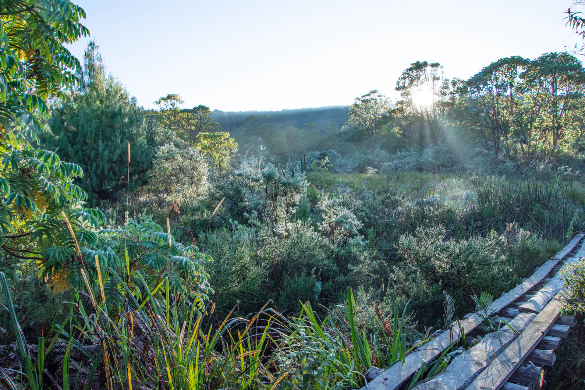 Nyika-Nationalpark-Malawi-Globetrotter-Select-10