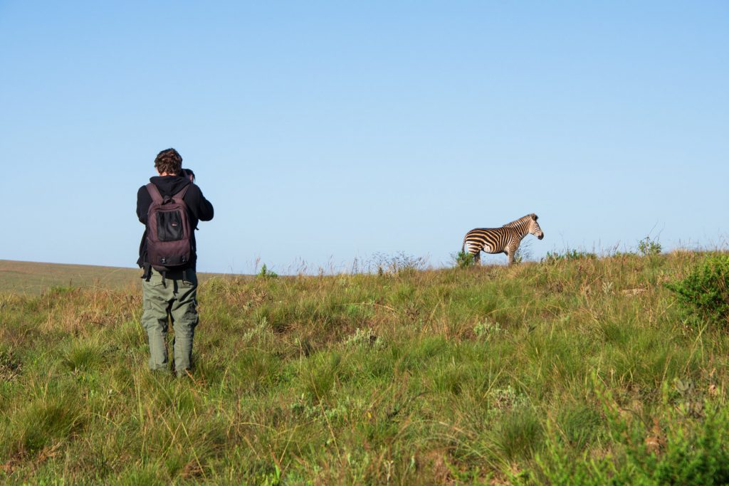 Nyika Nationalpark Wanderreise Nyika Nationalpark Malawi Globetrotter Select 19