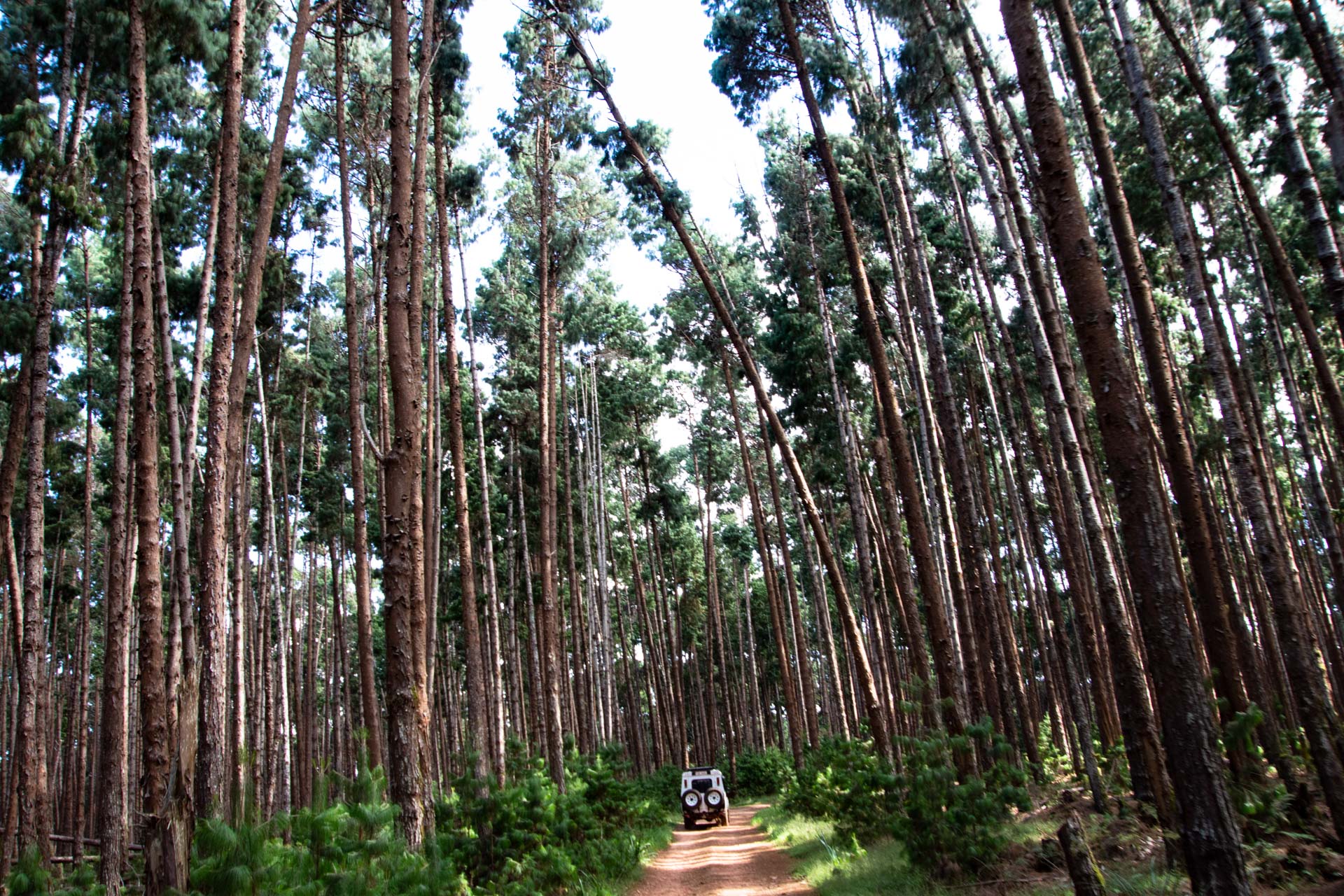 Nyika-Nationalpark-Malawi-Globetrotter-Select-22