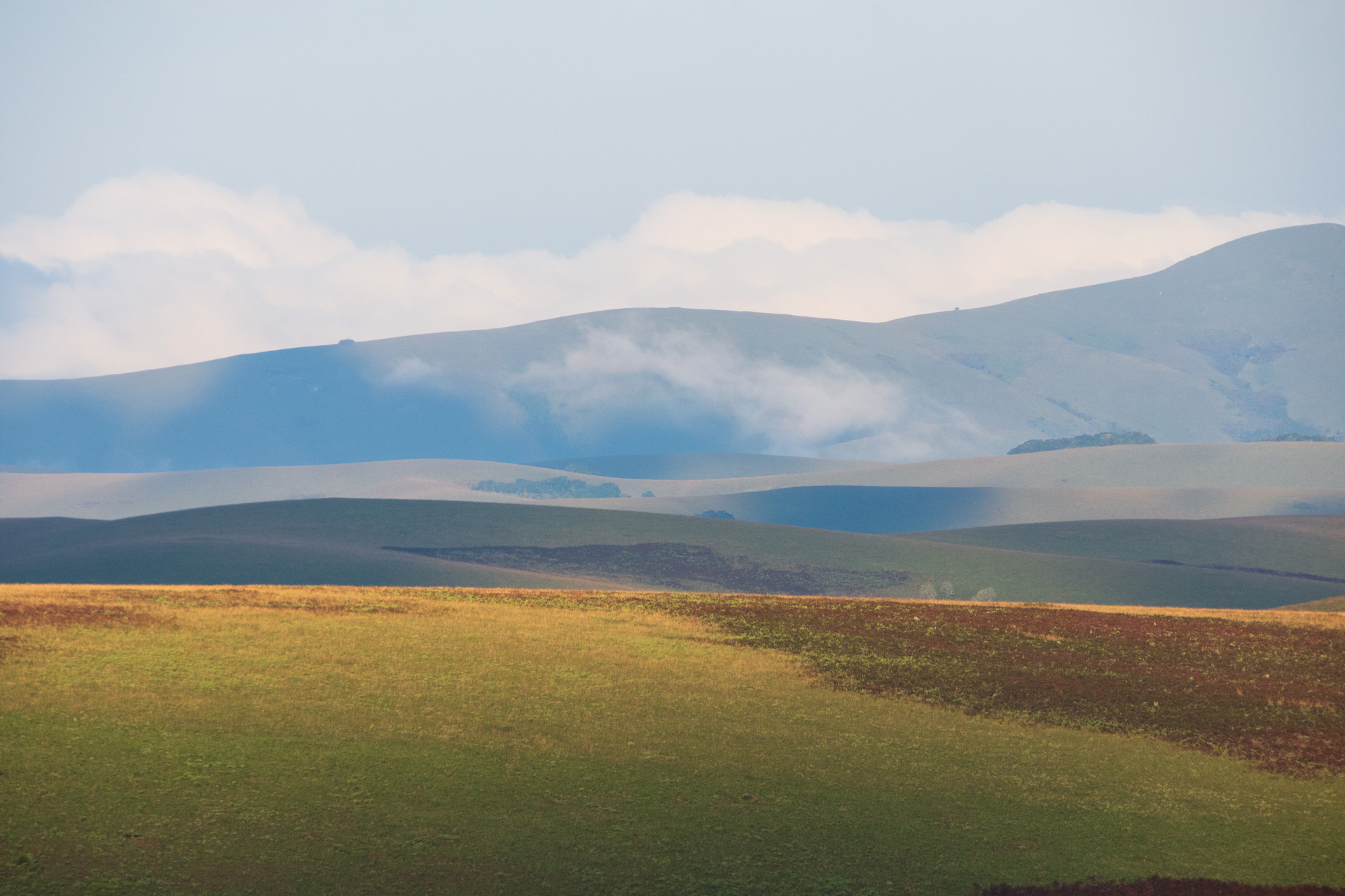 Nyika-Nationalpark-Malawi-Globetrotter-Select-5