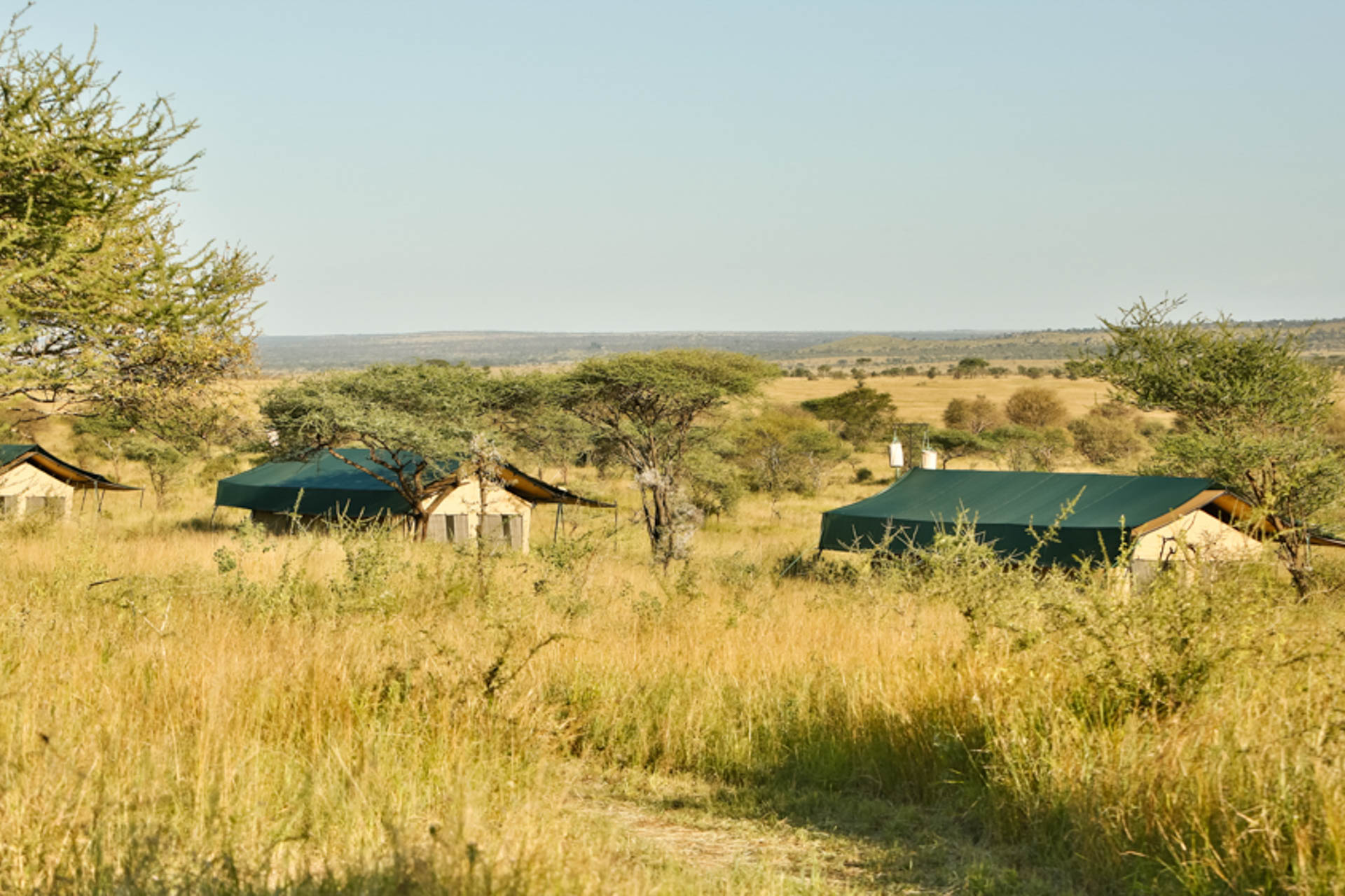 Nyikani-Camp-Central-Serengeti-28