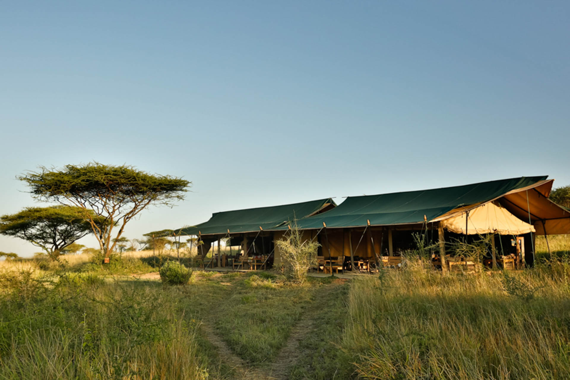Nyikani-Camp-Central-Serengeti-45