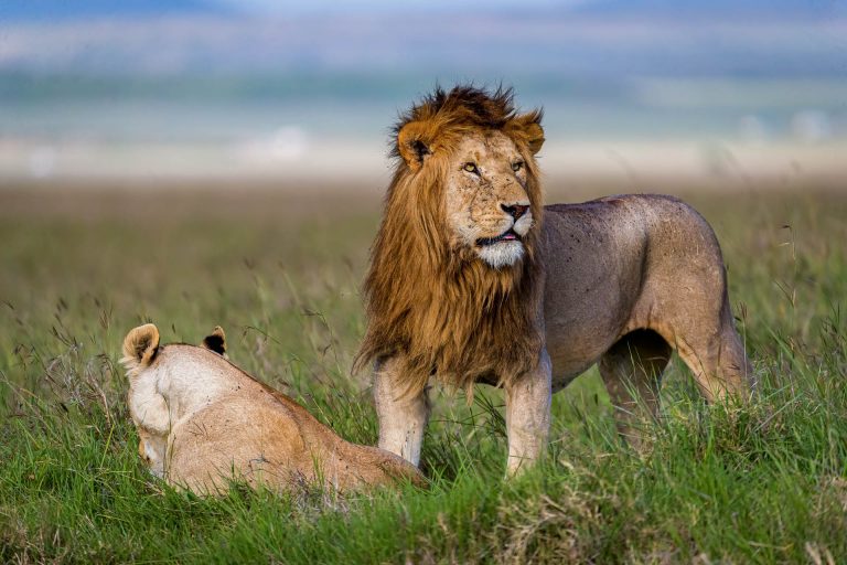 Tansania Gruppenreise