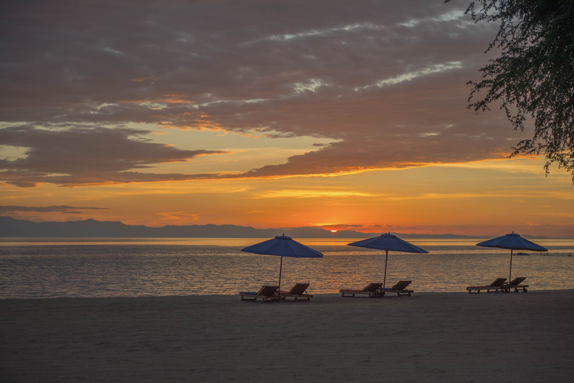 Pumulani Lodge Robin Pope