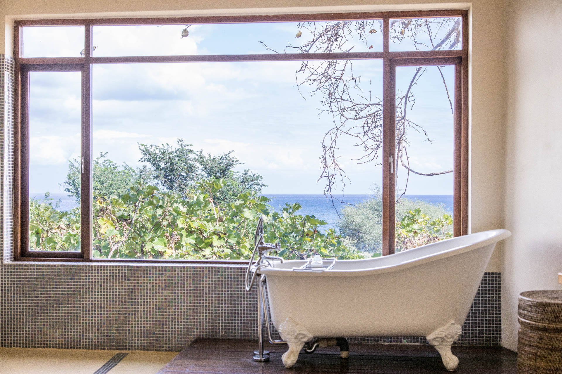 Pumulani Lodge Robin Pope