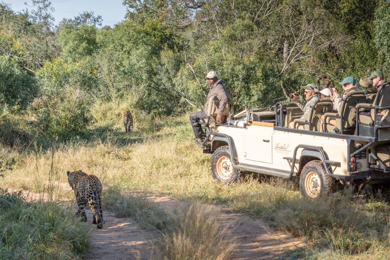 Luxus Safari Afrika