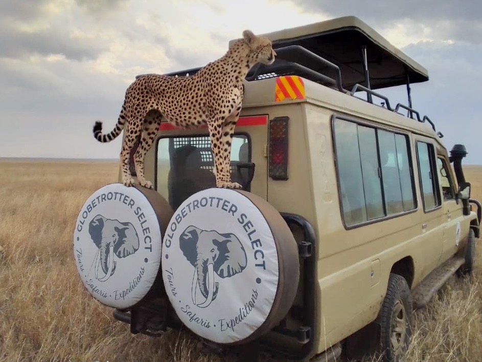 Tansania Safari und Sansibar Gruppenreise Safari Fahrzeug Gepard Globetrotter Select