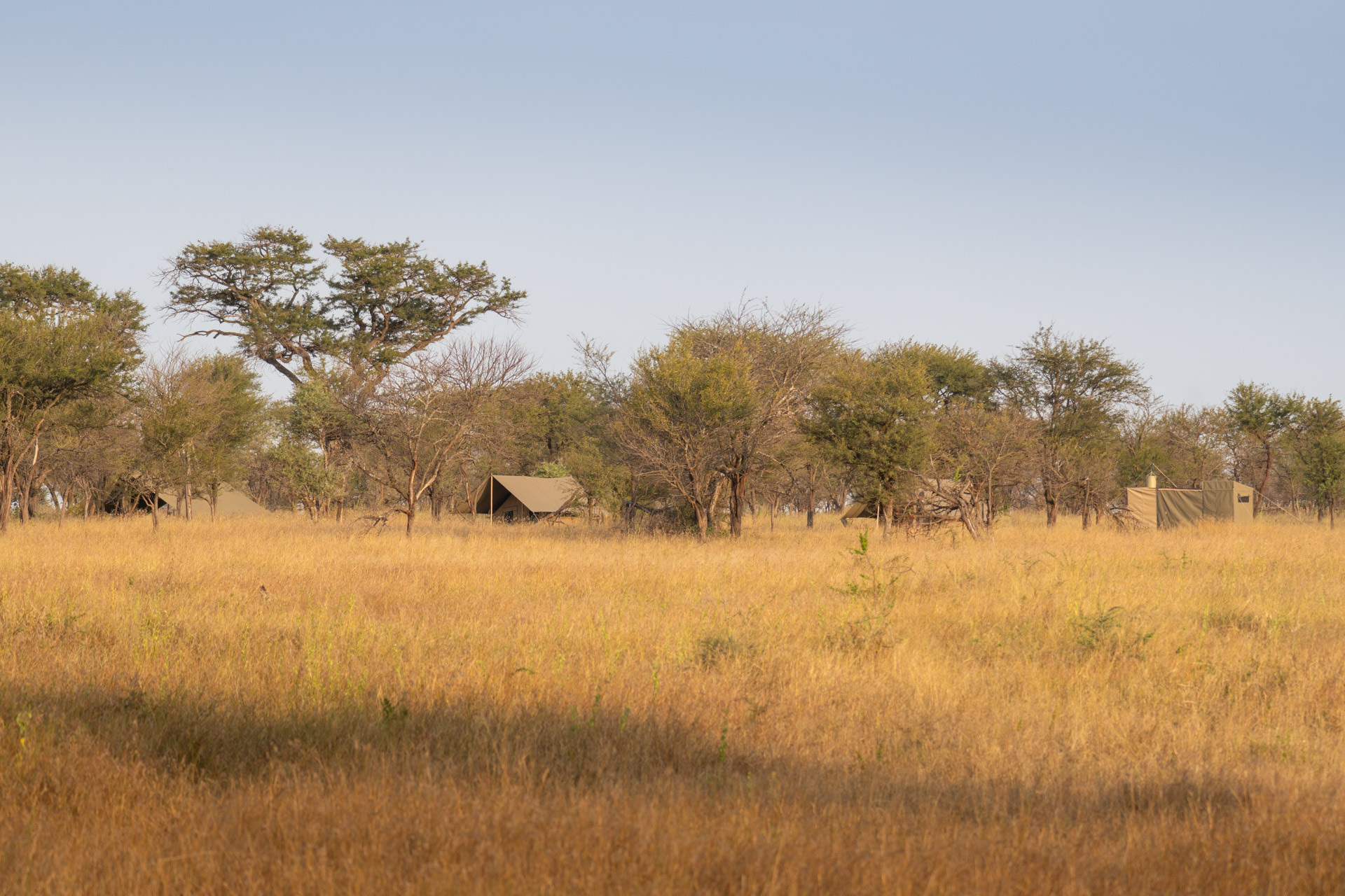 Select-Zelt-Safari-Tansania-Globetrotter-Select-139