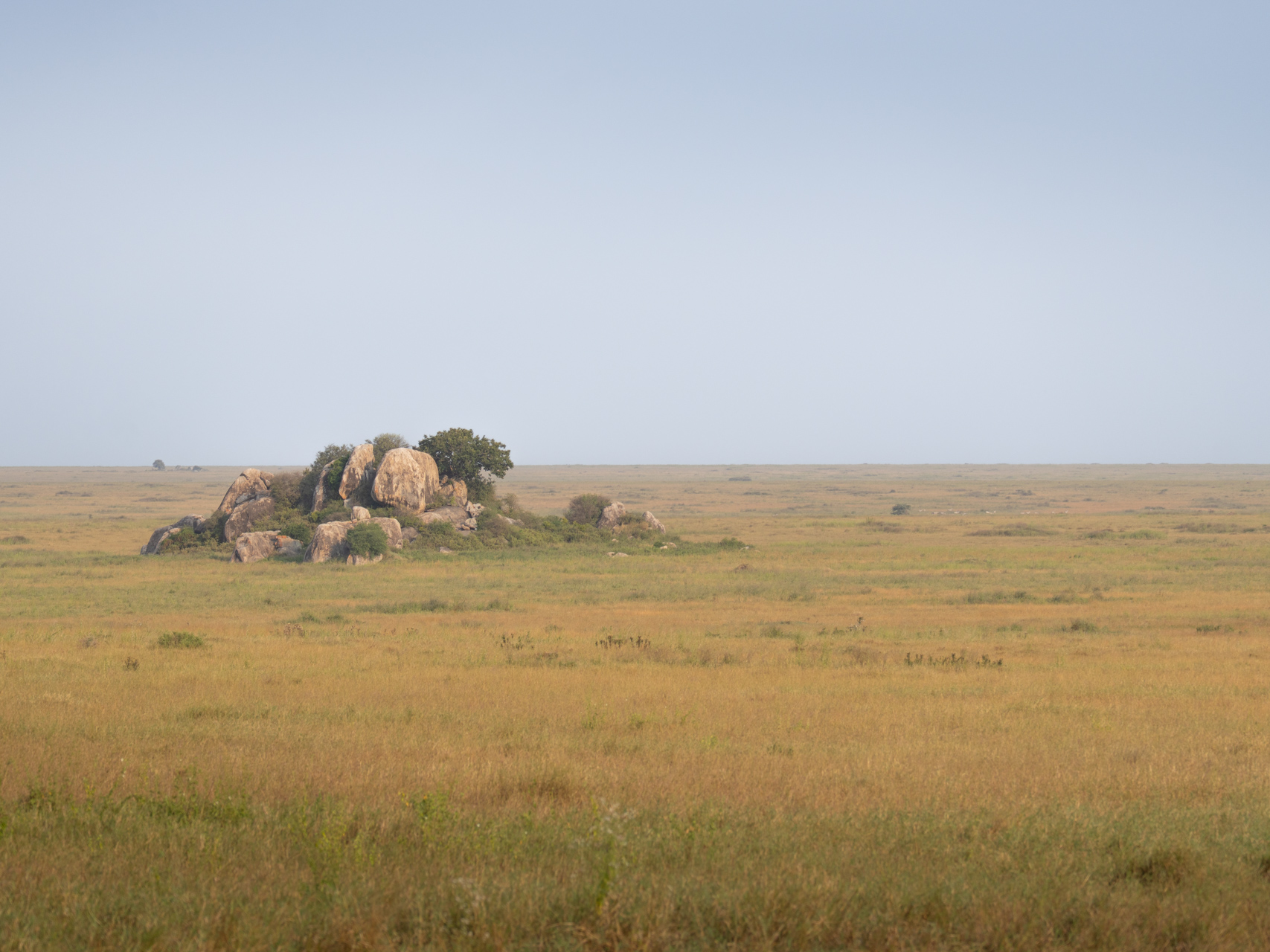 Serengeti-Nationalpark-Tansania-Globetrotter-Select-44