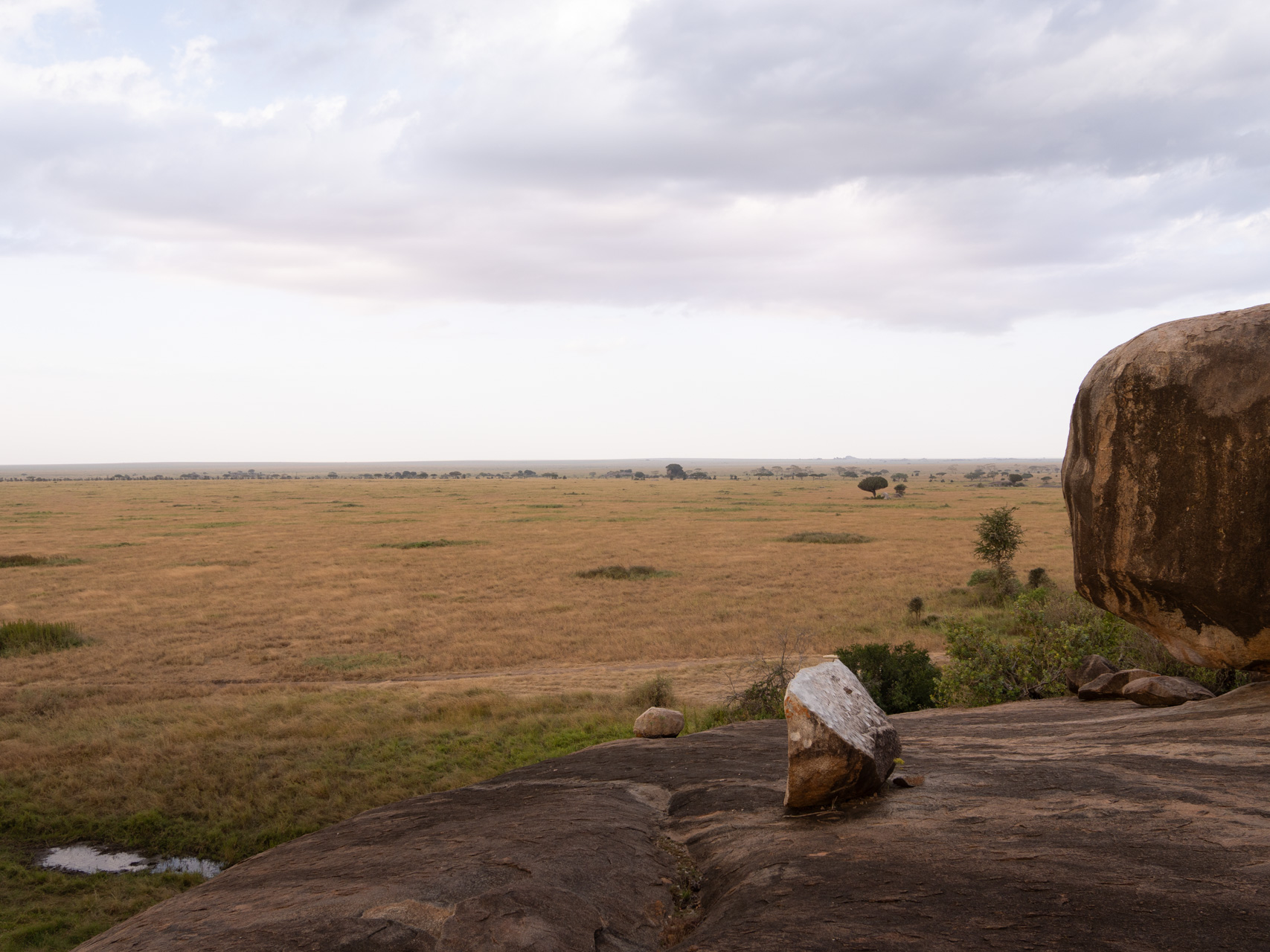 Serengeti-Nationalpark-Tansania-Globetrotter-Select-47
