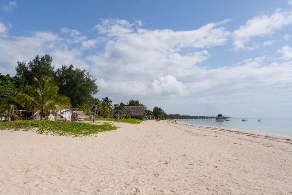 Sandstrand mit Palmen und Holzsteg, Jambiani Beach, Sansibar, Globetrotter Select