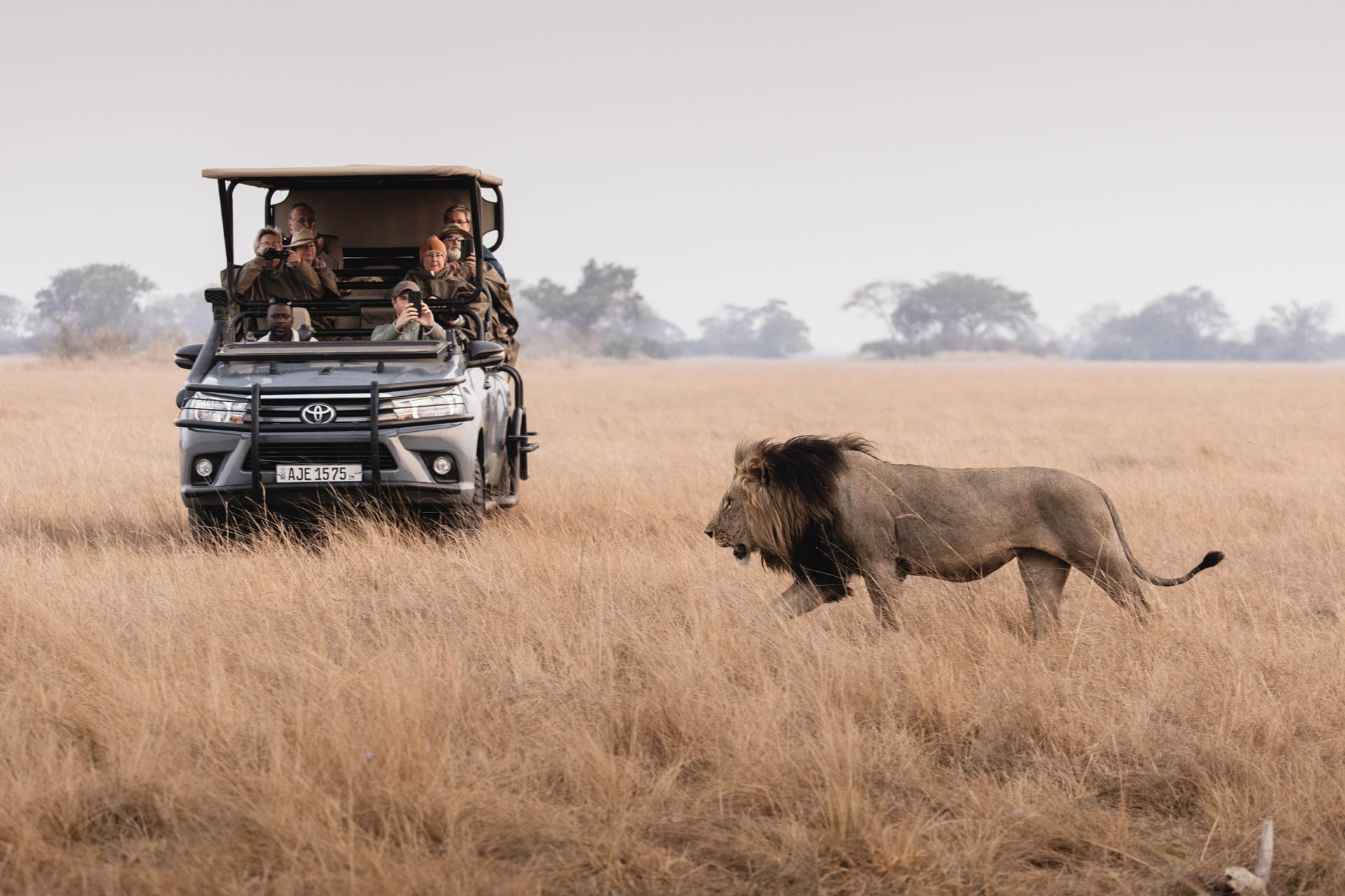 Shumba Camp - Wilderness Destinations