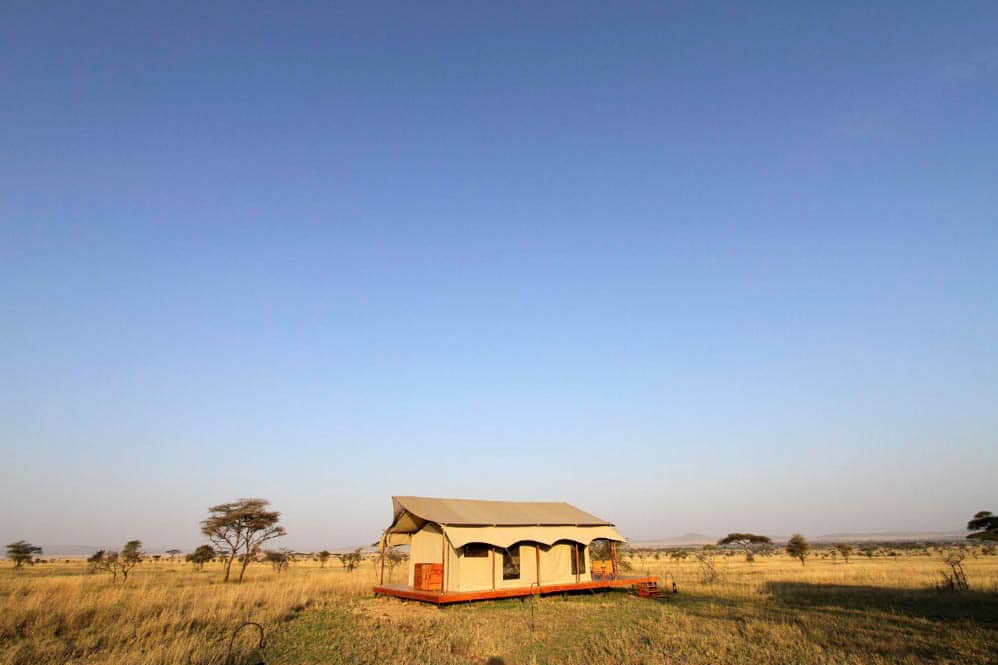 Siringit Serengeti Camp (4 von 14)