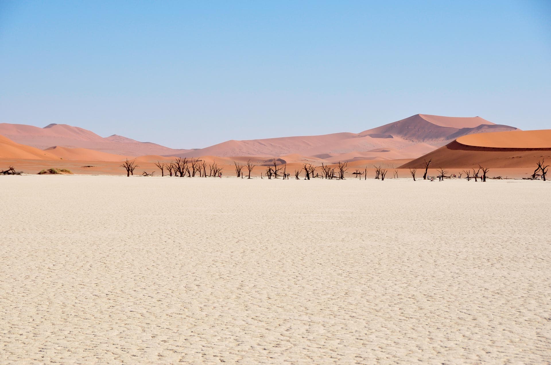 Sossusvlei Wüste Namib in Namibia - Globetrotter Select