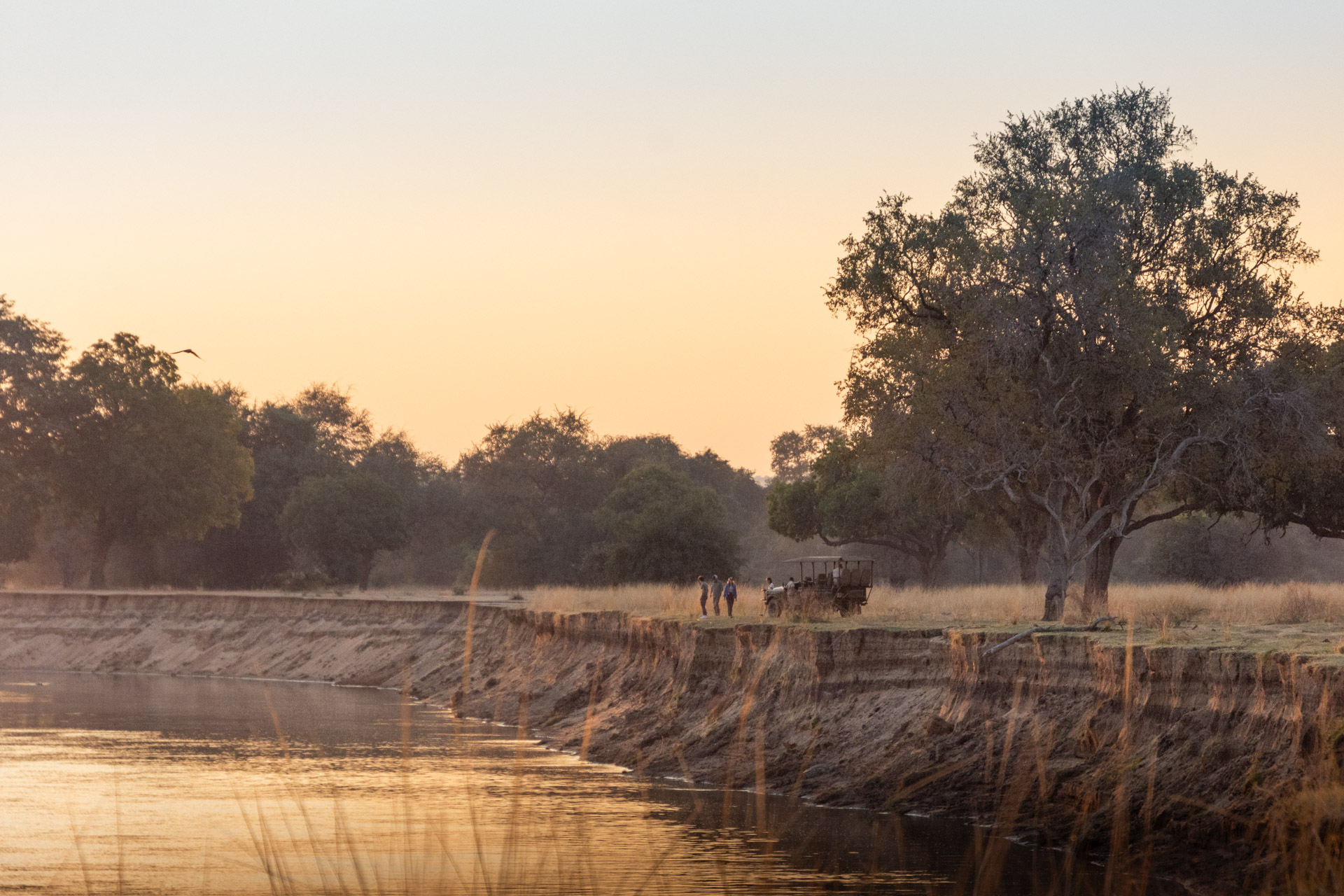 South-Luangwa-Nationalpark-Sambia-Globetrotter-Select-6