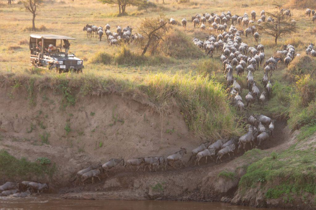 Tansania Aktivitäten auf Safari Große Tierwanderung