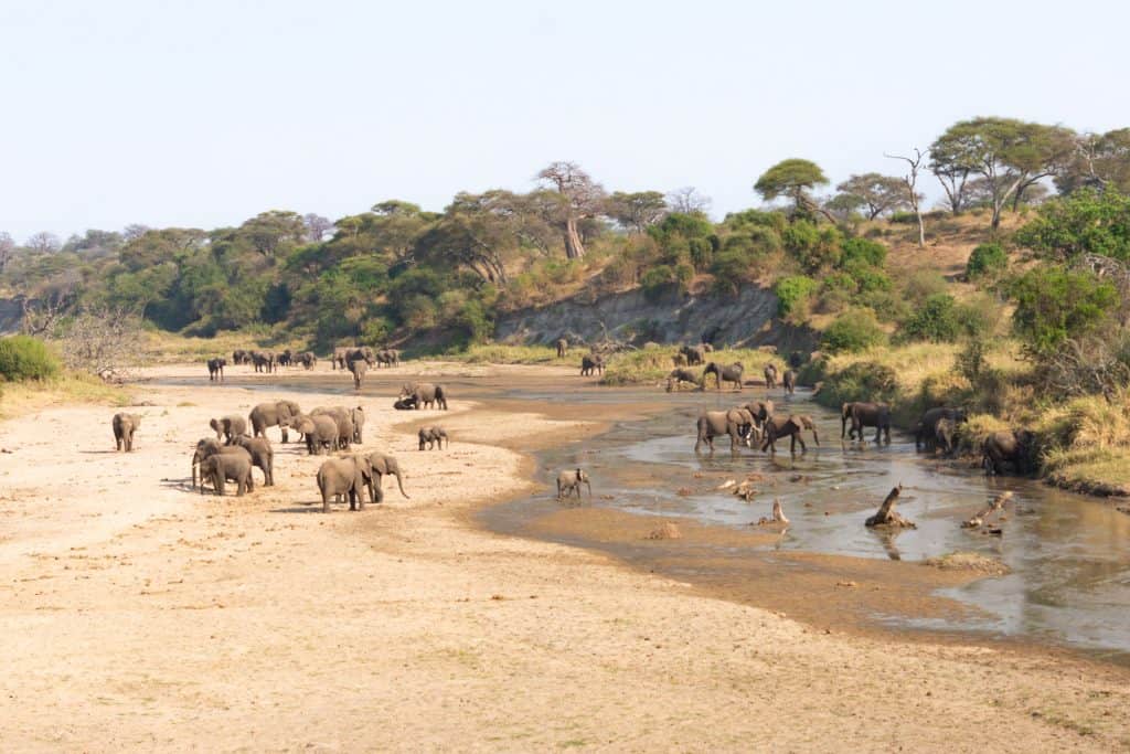 Tansania Globetrotter Select 4