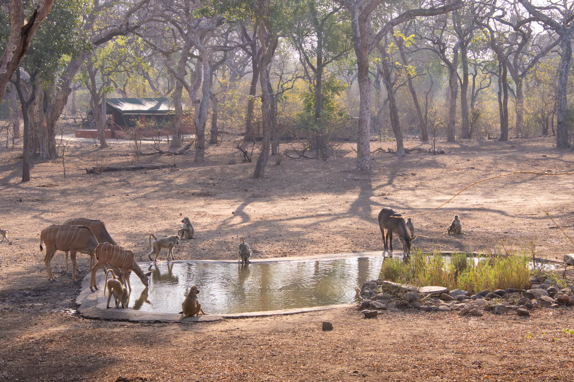 Thawale-Lodge-Malawi-Globetrotter-Select-11