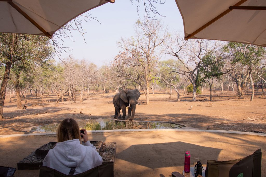 Thawale Lodge Malawi Globetrotter Select 12