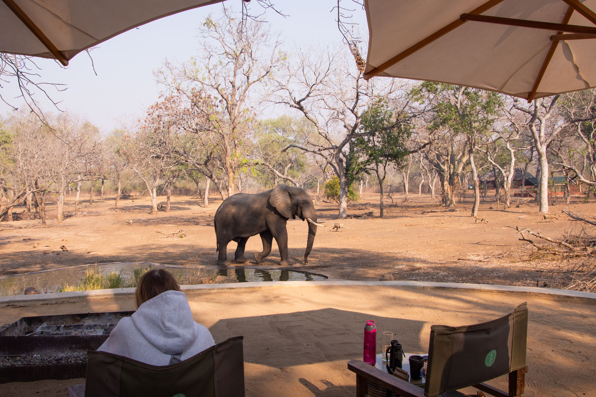 Thawale-Lodge-Malawi-Globetrotter-Select-13