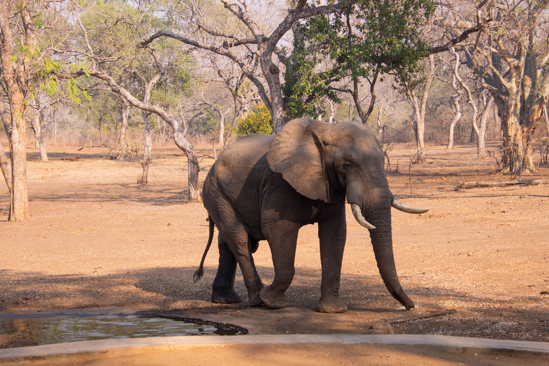 Thawale-Lodge-Malawi-Globetrotter-Select-15