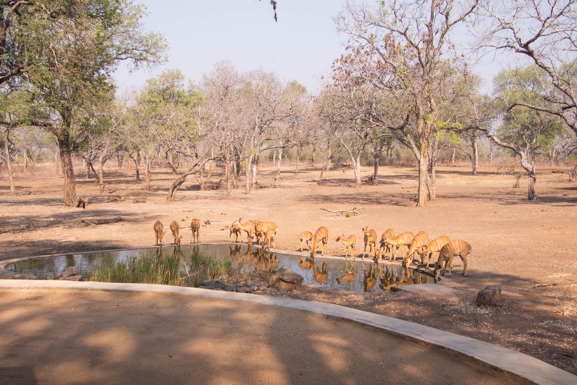 Thawale-Lodge-Malawi-Globetrotter-Select-18