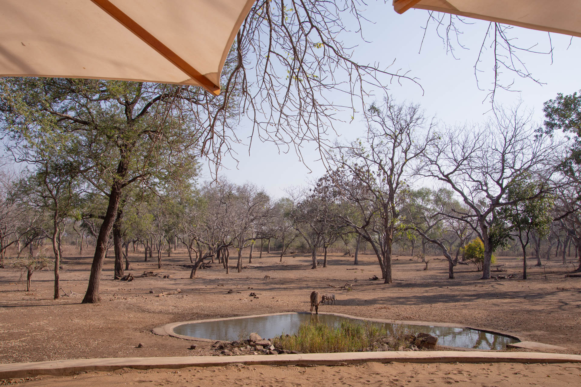 Thawale-Lodge-Malawi-Globetrotter-Select-2