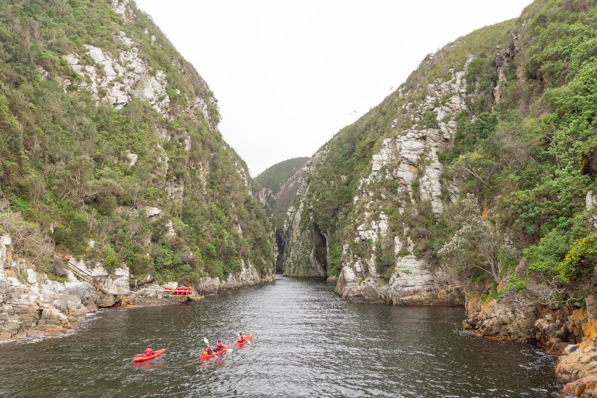 Tsitsikamma Nationalpark in Südafrika - Globetrotter Select