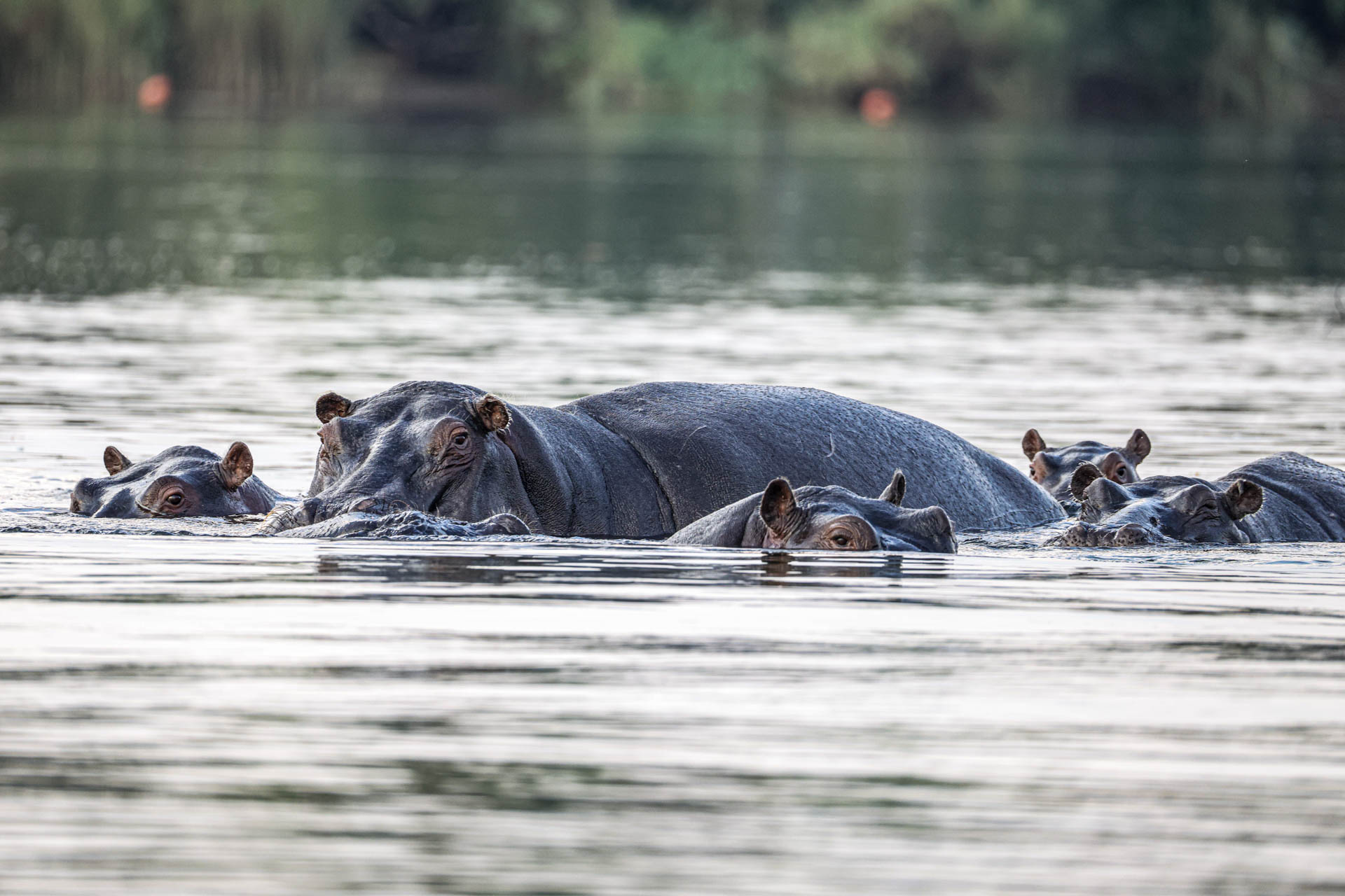 Livingstone & Victoria Falls
