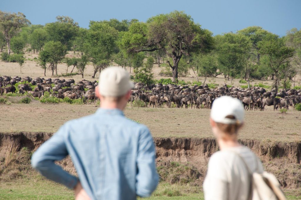 Tansania Aktivitäten