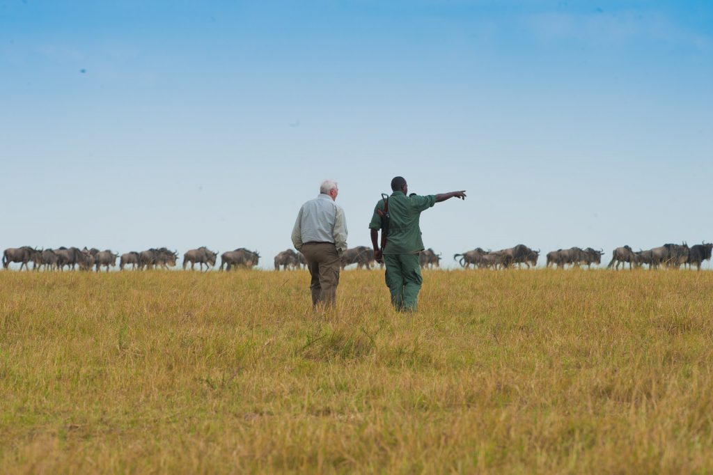Walking Safari in Serengeti Tansania - Globetrotter Select