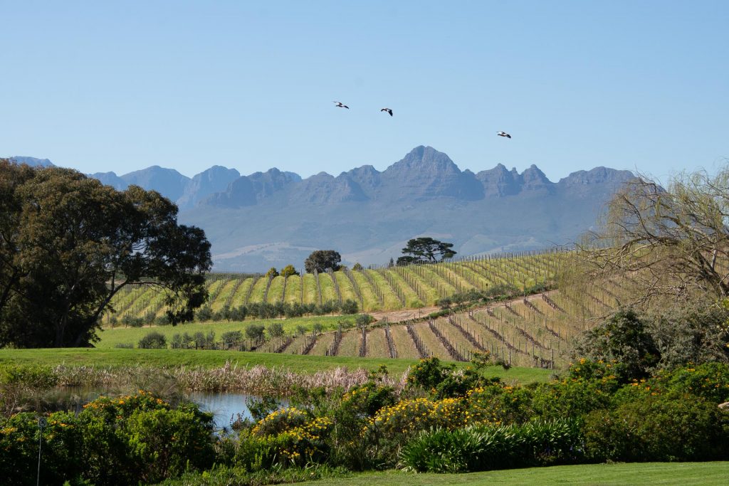 Winelands Südafrika - Globetrotter Select