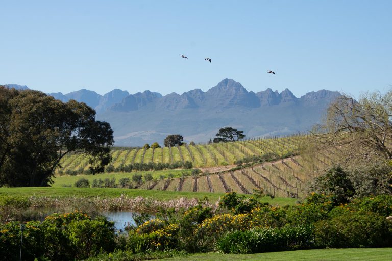 Winelands in Südafrika - Globetrotter Select