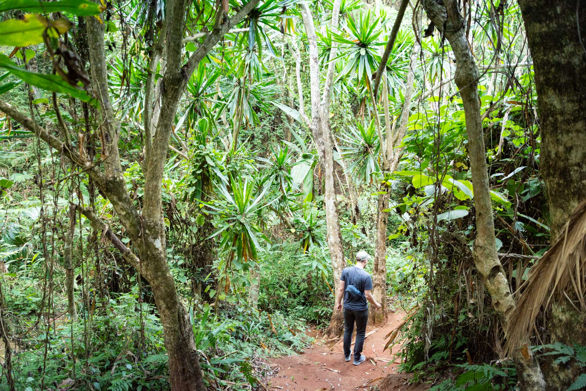 Zomba-Forest-Lodge-Malawi-Globetrotter-Select-13