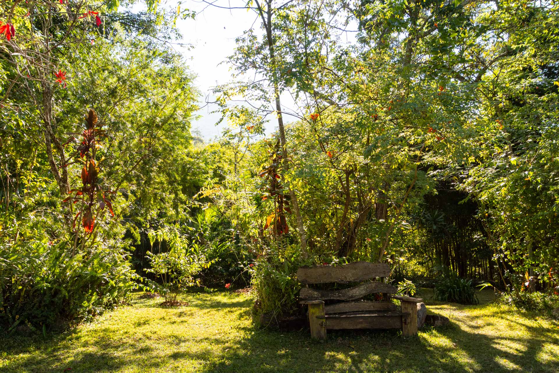 Zomba-Forest-Lodge-Malawi-Globetrotter-Select-23