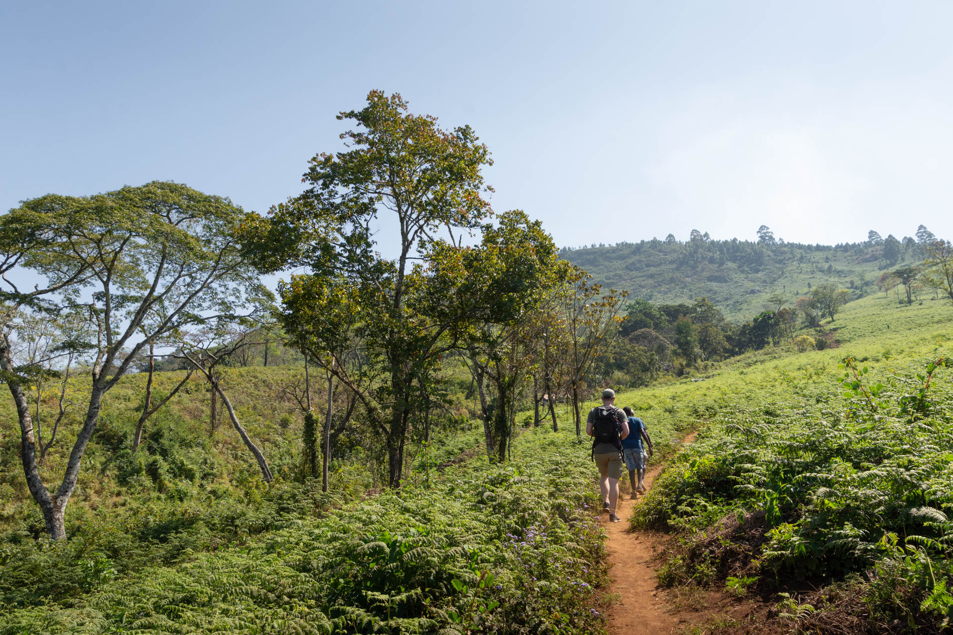 Zomba-Plateau-Malawi-Globetrotter-Select-11