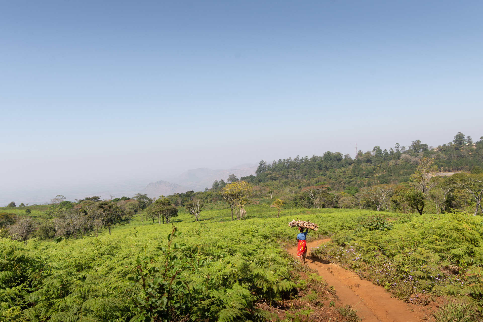 Zomba-Plateau-Malawi-Globetrotter-Select-12