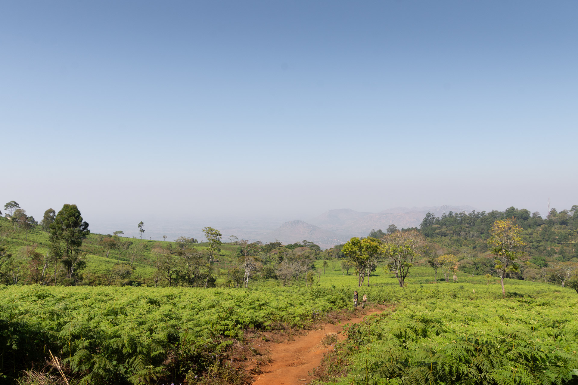 Zomba-Plateau-Malawi-Globetrotter-Select-13