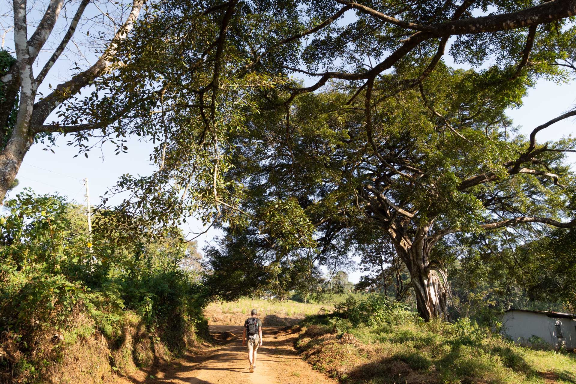 Zomba-Plateau-Malawi-Globetrotter-Select-29