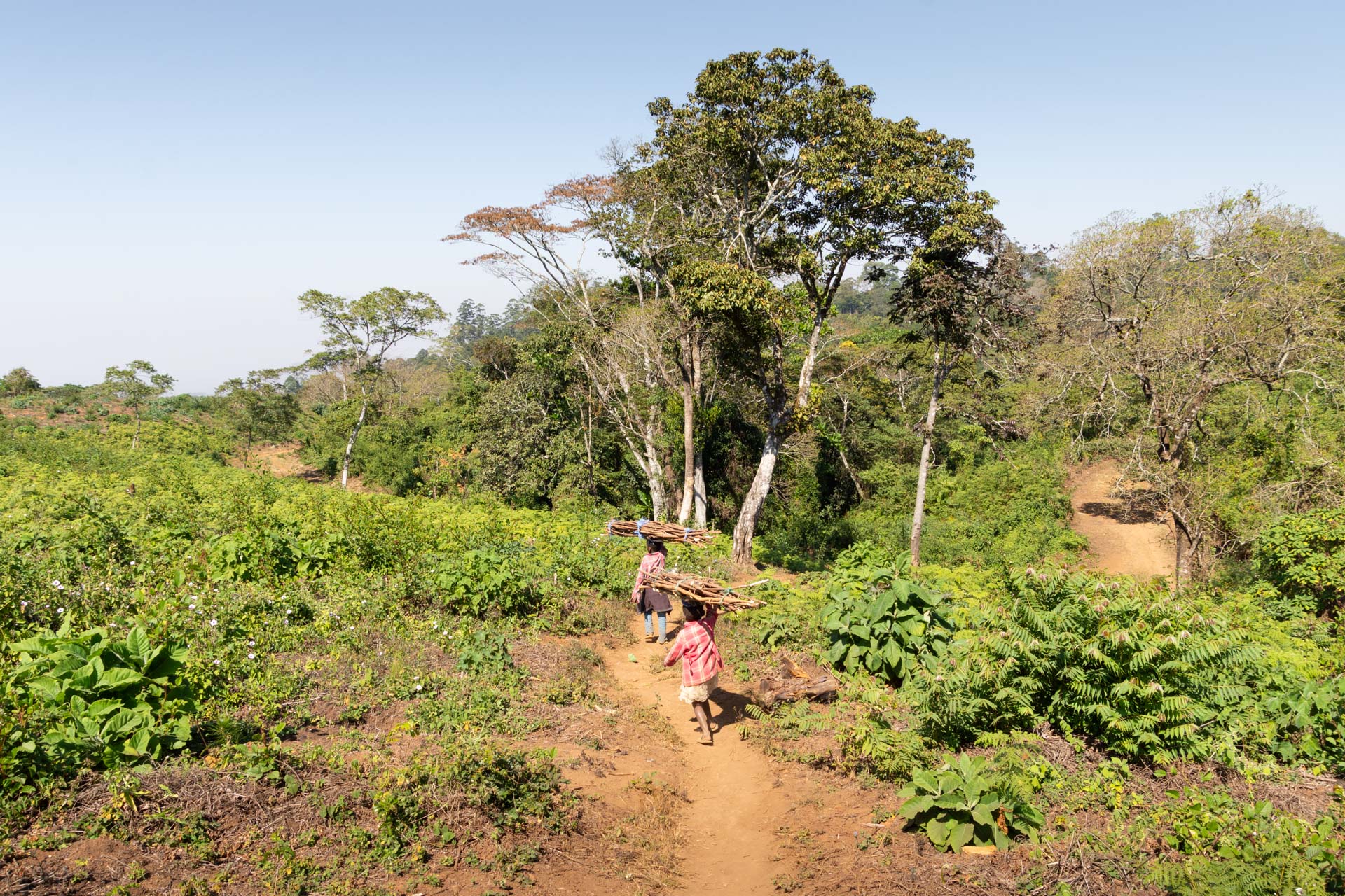 Zomba-Plateau-Malawi-Globetrotter-Select-8