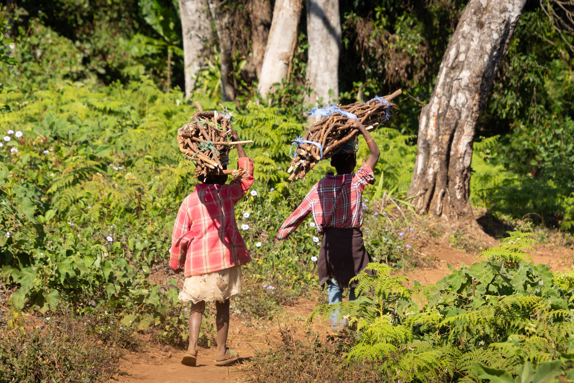 Zomba-Plateau-Malawi-Globetrotter-Select-9