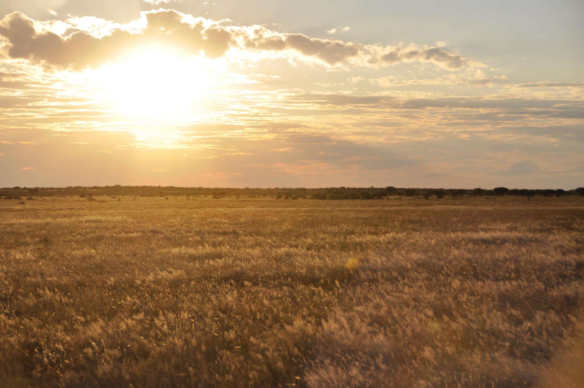 Central Kalahari in Botswana