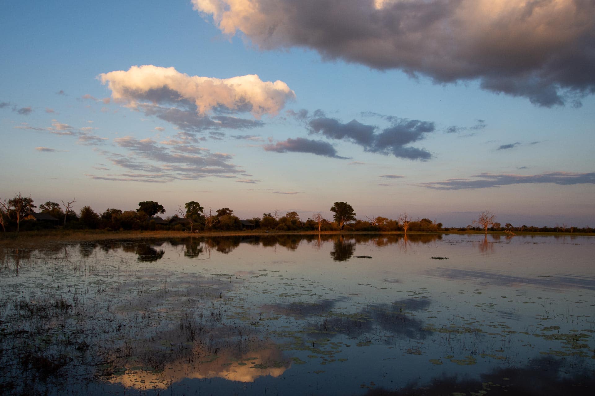 Chobe Nationalpark in Botswana